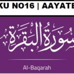 Surah Al Baqarah ruku 16 with urdu and hindi tarjuma and transletion