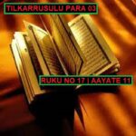 Tilkarrusulu Pare 03 Ruku No 17 With Urdu Hindi Tarjuma And Transletion.